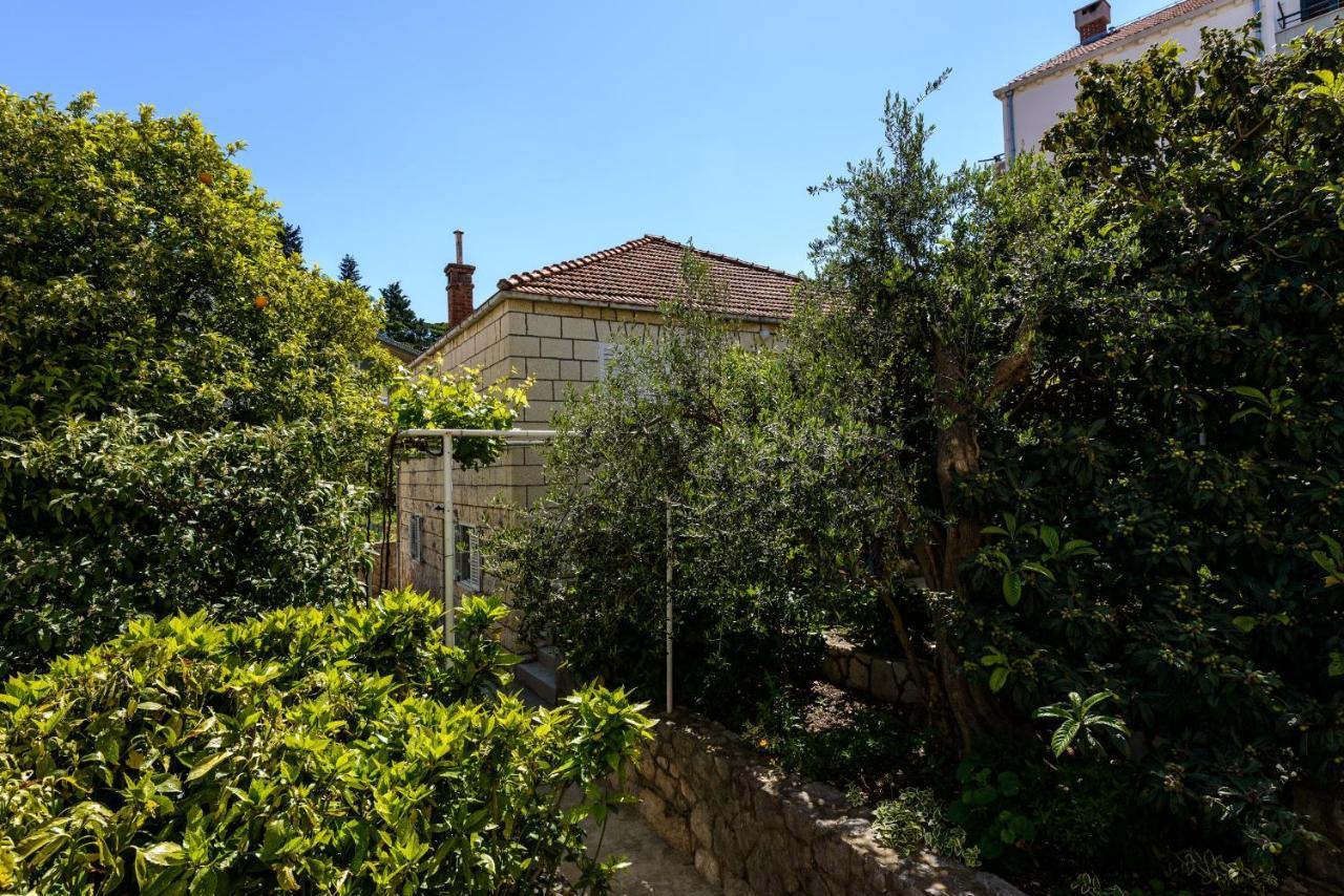Apartment Pavlina Ντουμπρόβνικ Εξωτερικό φωτογραφία